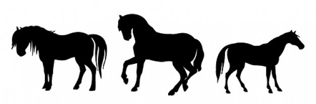 Horse silhouette vector material with white background