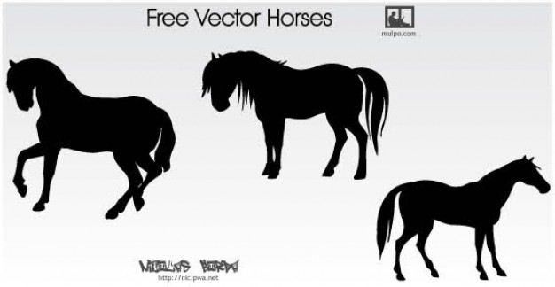 Horse Silhouettes Free Vector over gray background