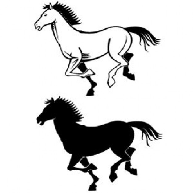 Horses Vectors silhouette in white and black