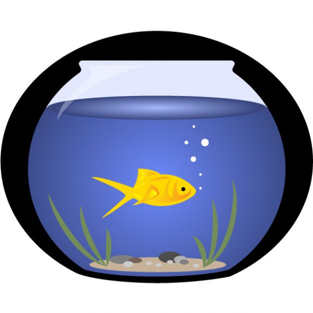 fish philosophy clipart - photo #44