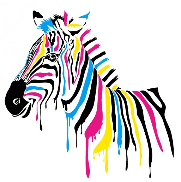 CMYK Color Zebra in side view