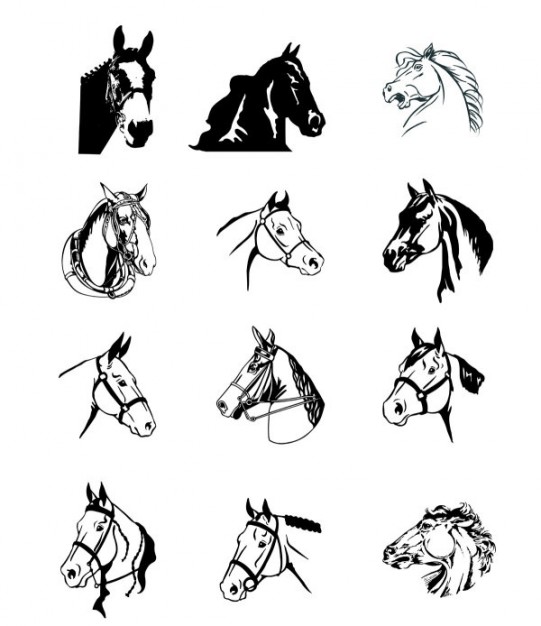 lineal drawing with Black and white horse heads