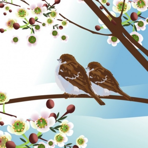 birdie in the pear branch in spring