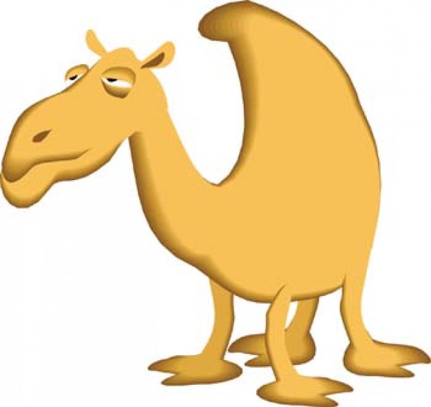 yellow Camel with white background
