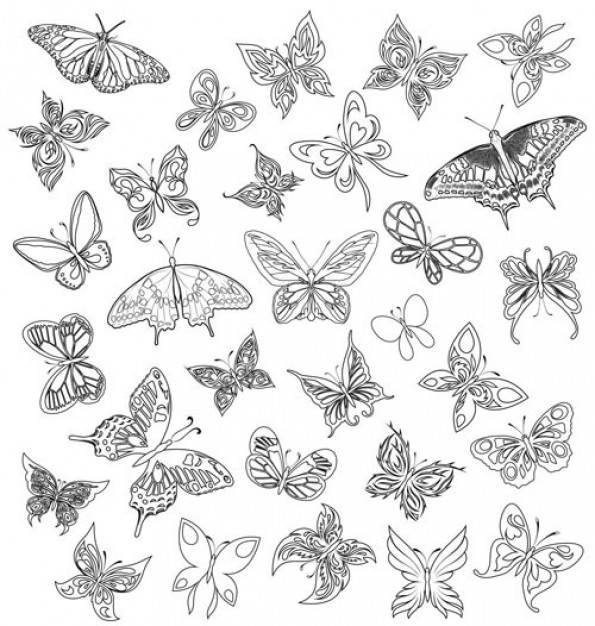 A variety of butterflies material