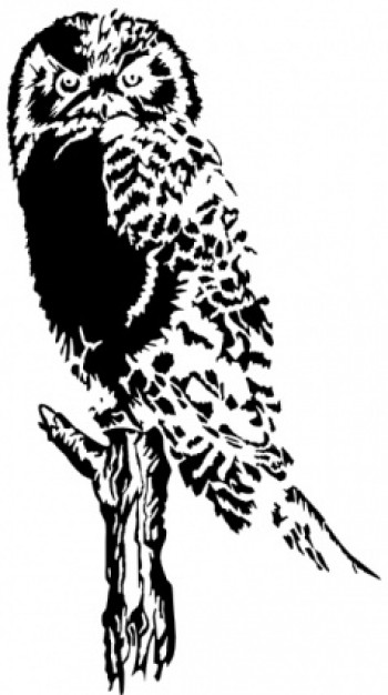 Owl On Branch clip art in front view