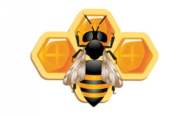 3d Honeycomb and bee on white background for product logo