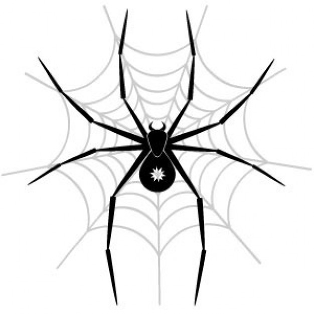 Spider climbing on web Art