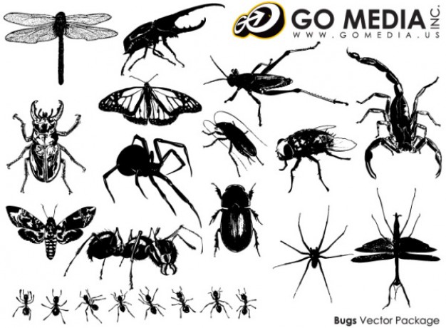 Insect Series Vector material by Go Media
