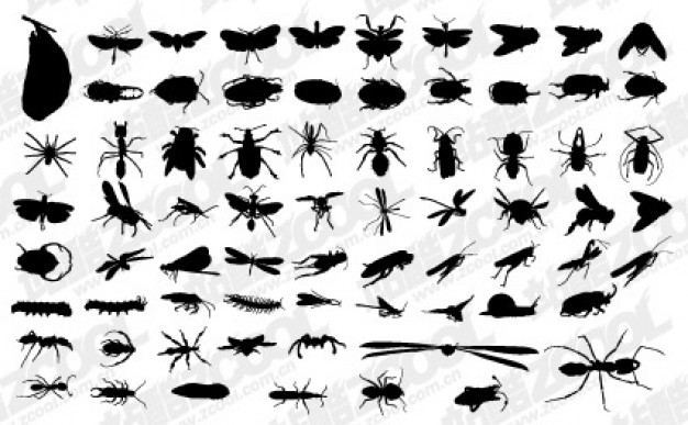 Insects silhouette vector material like bug spider butterfly ladybug dragonfly