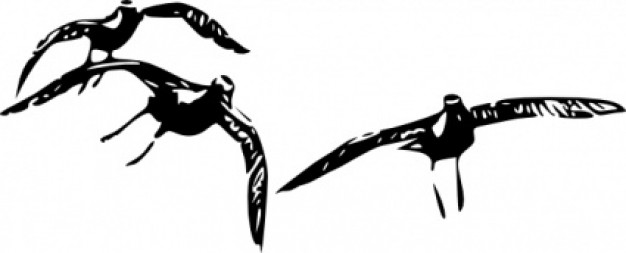three Birds Flying clip art