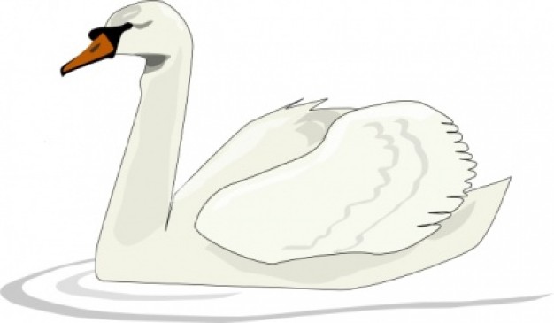 Swan Swimming showing peaceful clip art