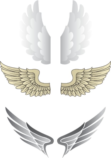 Eagle Wings vector including three different styles.