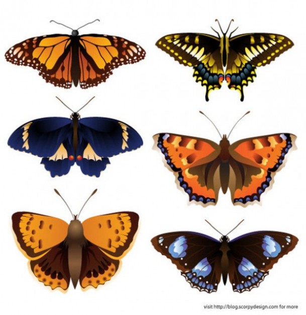 six Intricate butterflies with white background