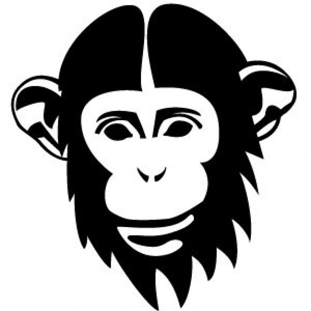 Monkey Portrait head with white background