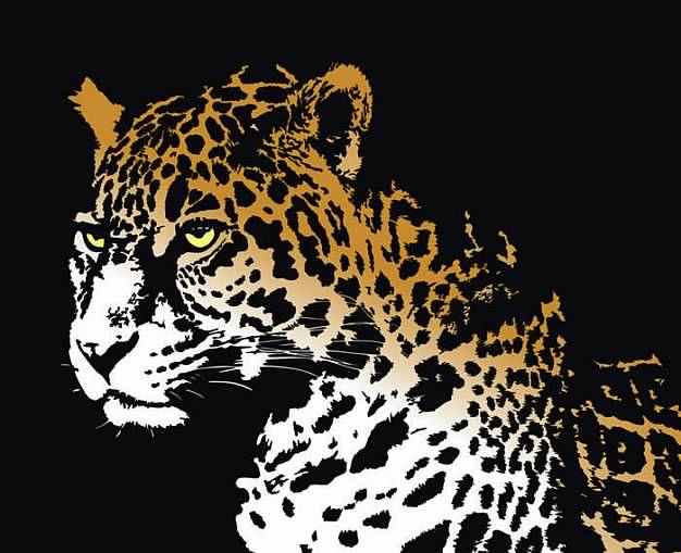 Jaguar feature clip art in color over black
