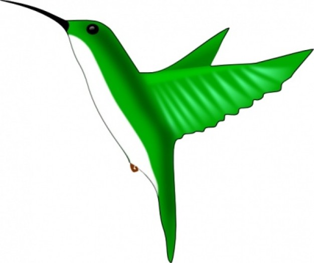 humming bird in green plastic