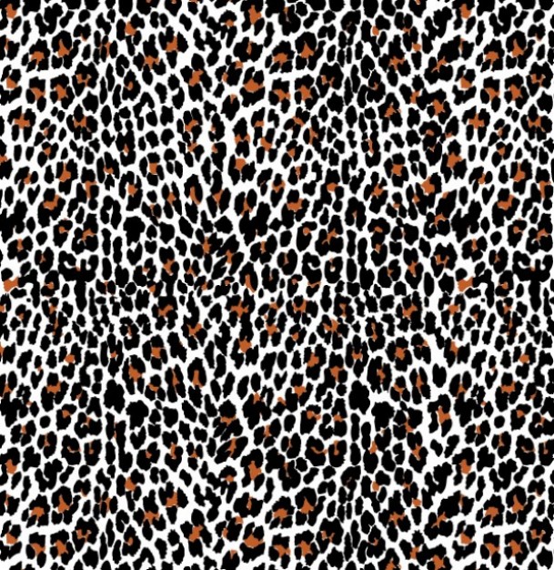 Wild animal skin pattern with Leopard skin