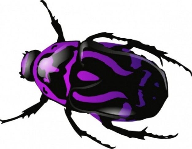 Purple Beetle with floral tattoo clip art