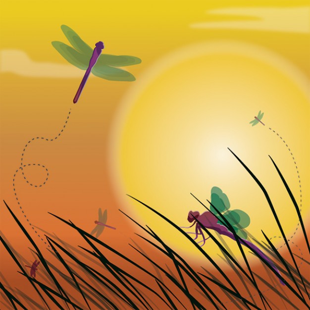 dragonfly flying over grass with sunset background