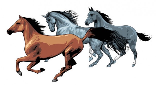 three Horses running