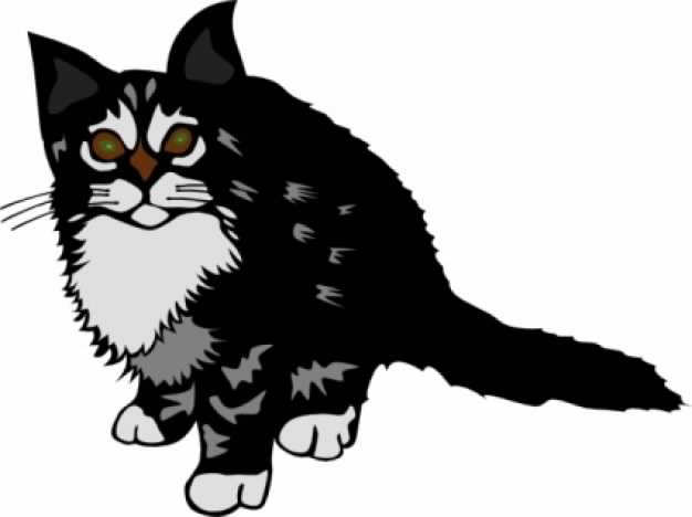 kitten black clip art in front view with White background
