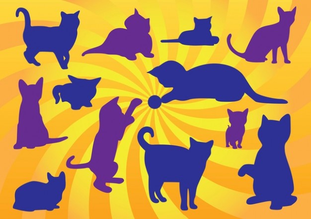 Kitten Vectors with sunset background