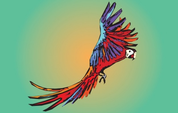 flying colorful guacamaya bird with sunset background