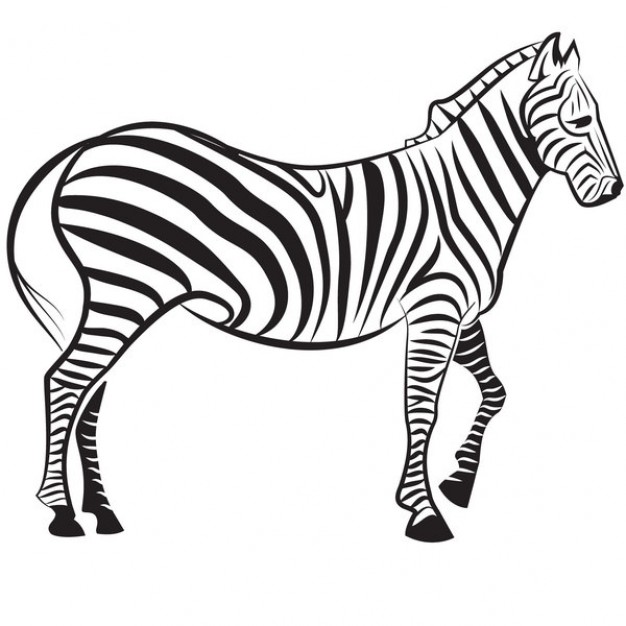 Zebra silhouette Image