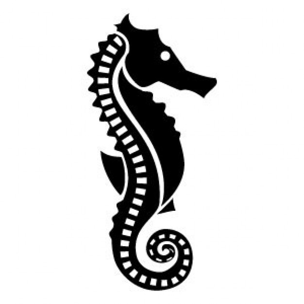 silhouette of a seahorse with white background