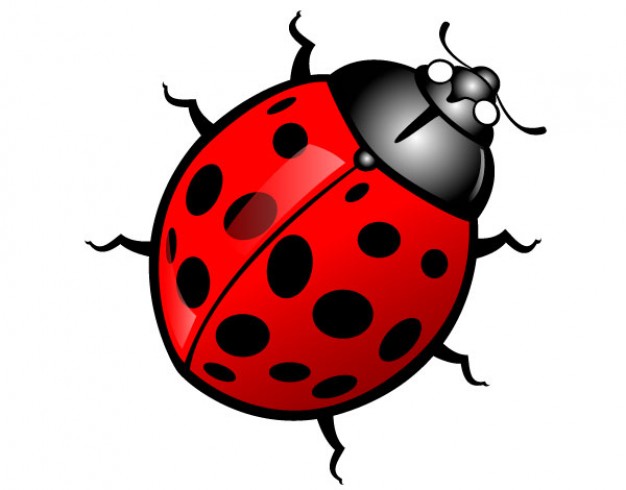 brightly colored Ladybug Image