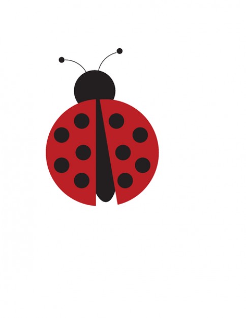 alone Persian Red ladybug vector.