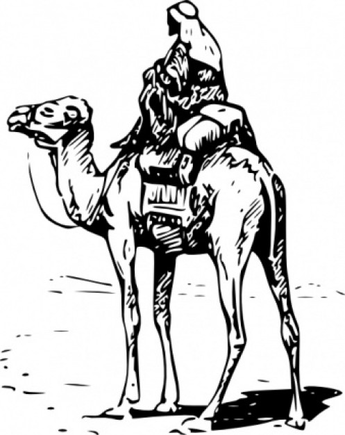 Person Riding Camel on desert clip art