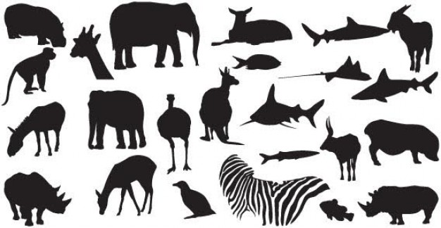 Animals Silhouettes like shark elephant gazelle rhino