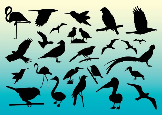 Free Birds Silhouettes with yellow to water blue background