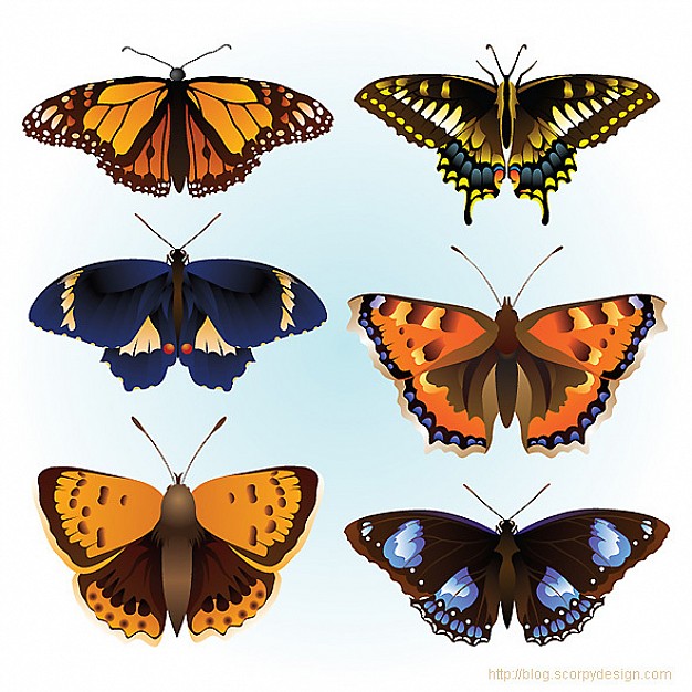 colorful butterflies in six kinds