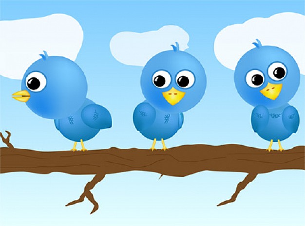 three Twitter birds Set in branch