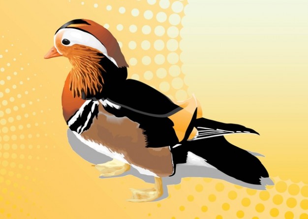 Mandarin Duck Vector over yellow background