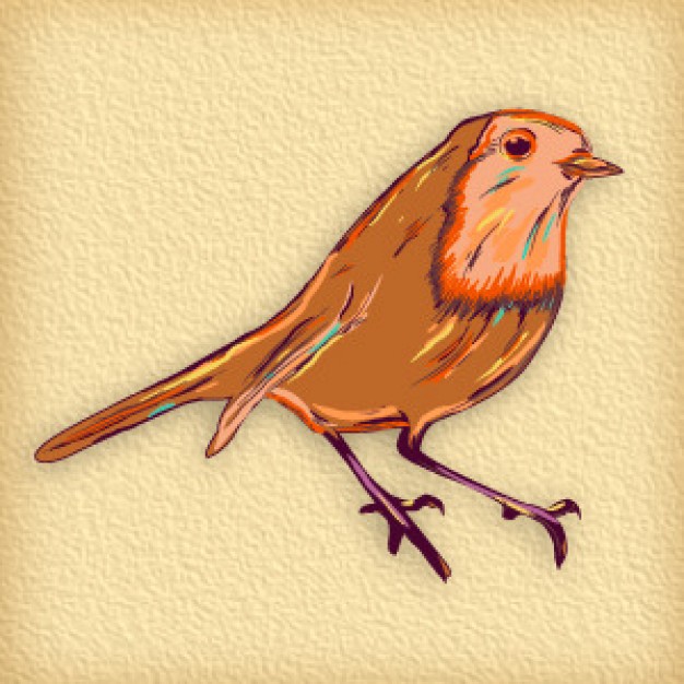 manualy bird doodle art with earth yellow background