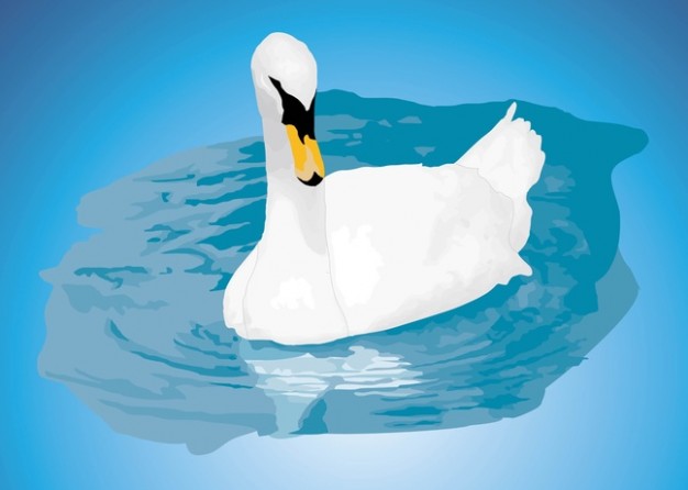 Mute Swan and shadow Vector showing your Valentine