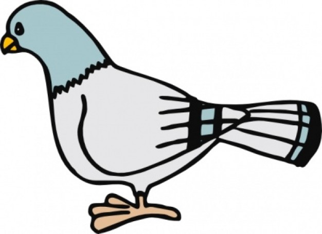 Pigeon in side view clip art