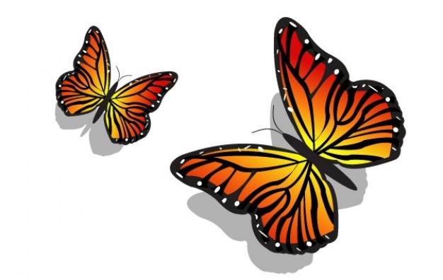 Beautiful Colorful Delicate flying Pair of Butterflies with Antenna