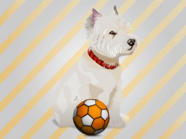 Cute dog with a ball yellow slanting stripe