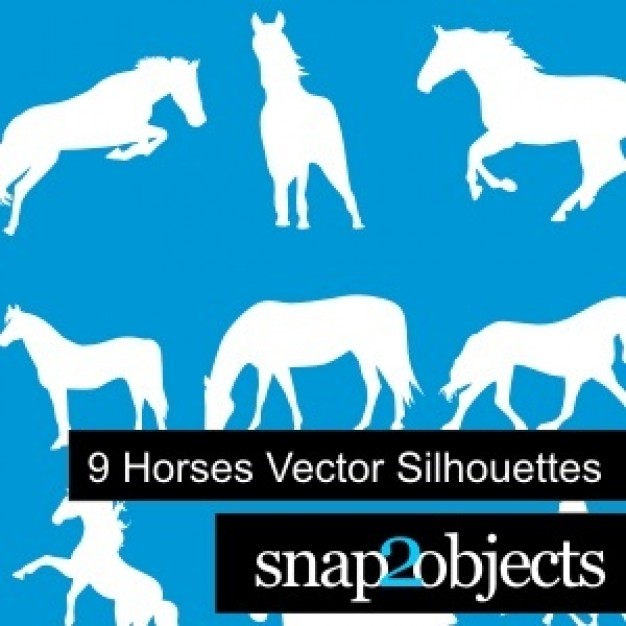 nine white Horses Vector Silhouettes over blue background