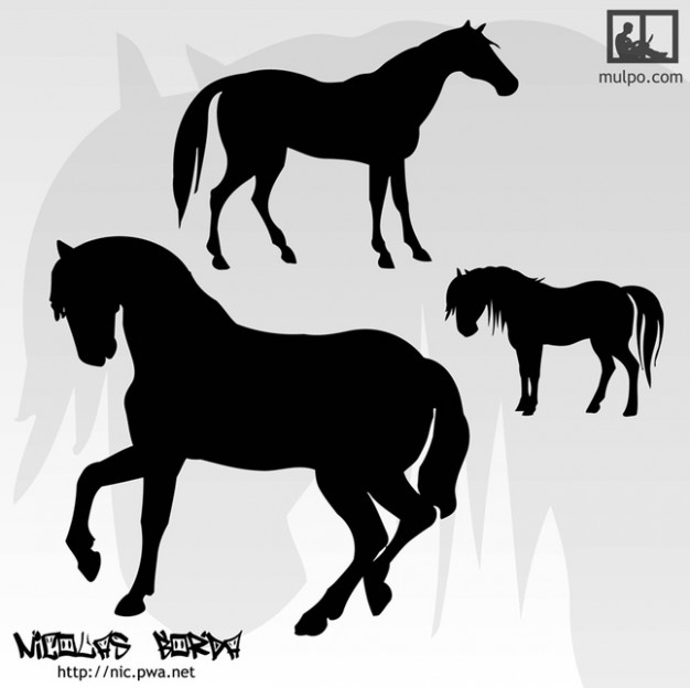 Three Black Horses  Silhouettes with gray background