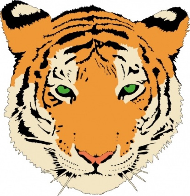 Tiger with vivacious eyes clip art
