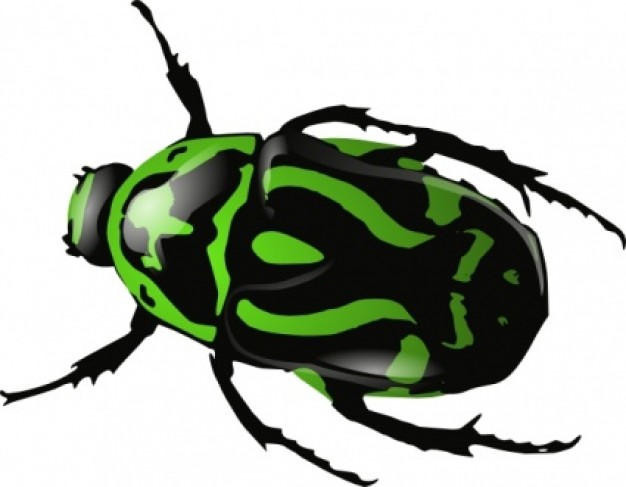 Green Beetle with green and black shell clip art