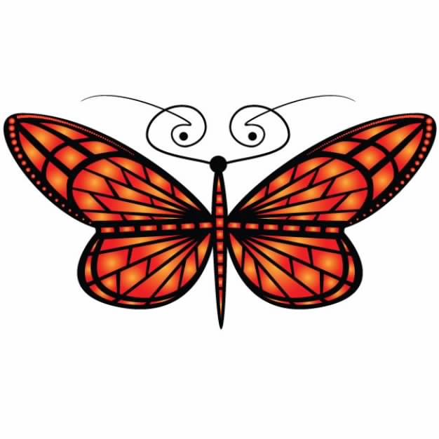 one butterfly with reddish tones minimalist drawing in top view