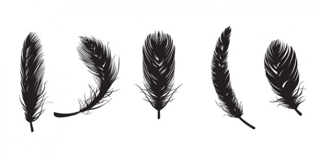 free vectors black Feather set