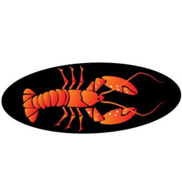 orange Lobster in dark ellipse image